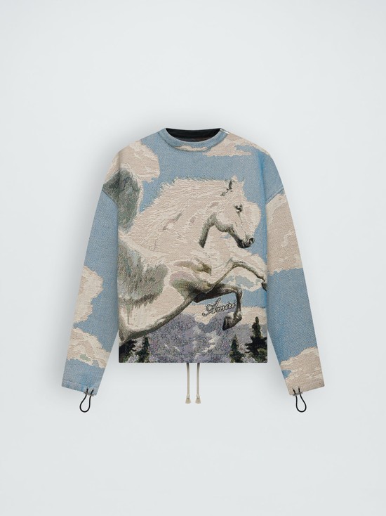 Amiri Tapestry Pegasus Crew Tröjor Herr Olika Färger | 08791-KICX