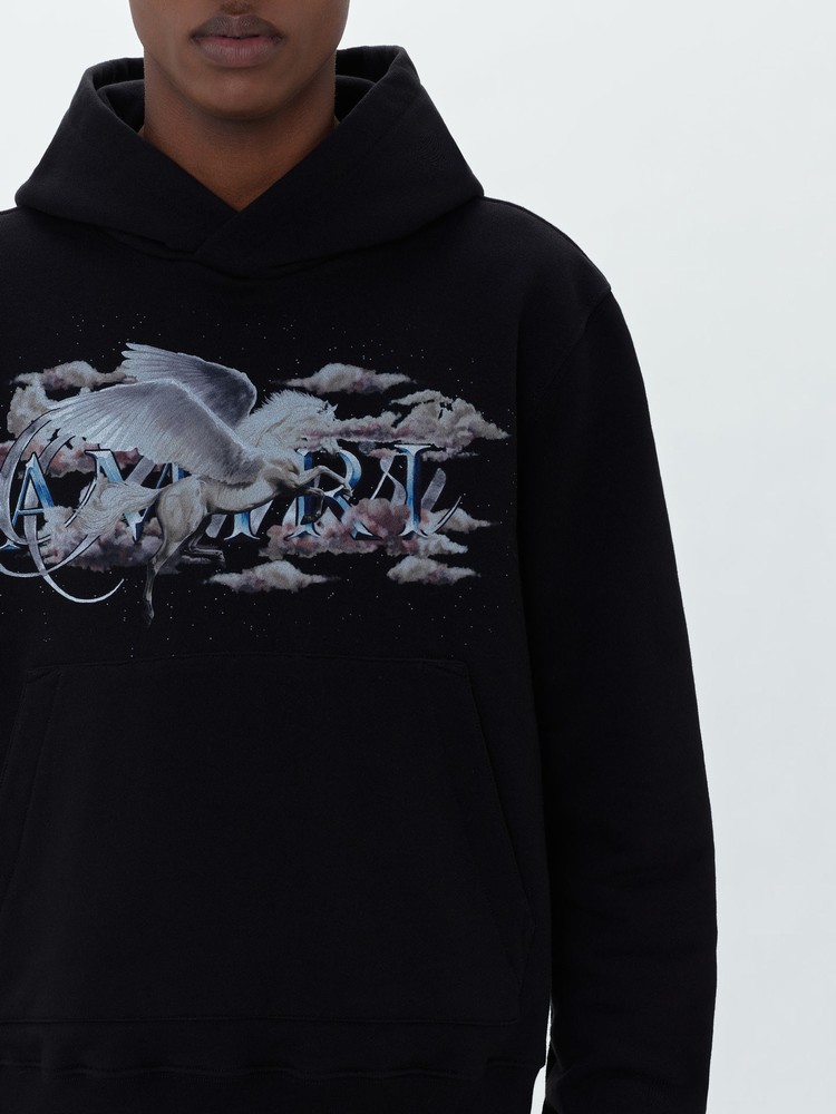 Amiri Pegasus Script Hoodie Herr Svarta | 72863-GCFS