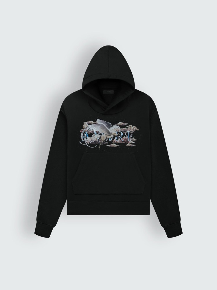 Amiri Pegasus Script Hoodie Herr Svarta | 72863-GCFS